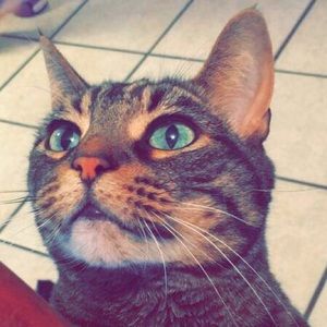 Meet your Posher, Abby